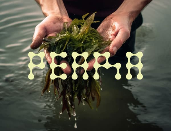 Peara